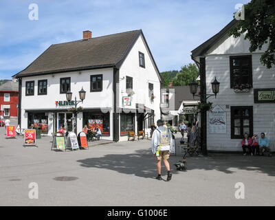 Geschäfte in der Innenstadt von Lillehammer, Oppland, Norwegen, Skandinavien Stockfoto