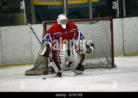 Evgeny Brul, Portarul Echipei Steaua Bucuresti Prinde un Sut in Meciul 138 Din Liga MOL Dintre Steaua Bucuresti - HC Csikszereda Stockfoto