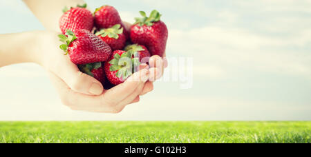 Nahaufnahme von Frau Händen mit Erdbeeren Stockfoto