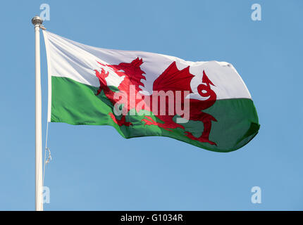 Walisische Flagge (Y Ddraig Goch) wehen im Wind und blauer Himmel. Stockfoto