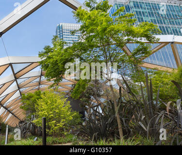 Crossrail Ort Dachgarten, Canary Wharf, London Stockfoto