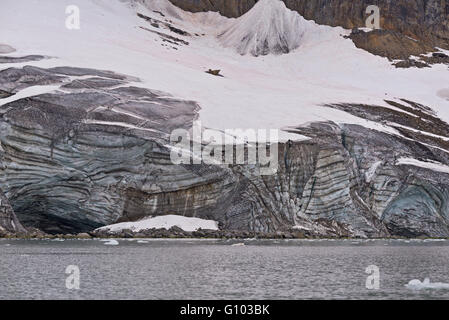 Kleine Eisberge treiben vor Smithbreen Gletscher in Raudfjorden, Svalbard Stockfoto