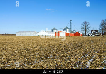 Amerikanische Bauernhof im nördlichen Indiana wird im Winter auf abgeernteten Maisfeld gesehen. Stockfoto