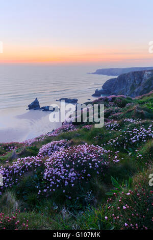 Sonnenuntergang über Bedruthan Steps an der Nordküste Cornish Stockfoto