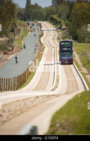 Lila Bus nähert sich am neuen gewidmet Busway, grüne Grünstreifen, Beton geführte Busway, Fußgänger, dogwalker Stockfoto