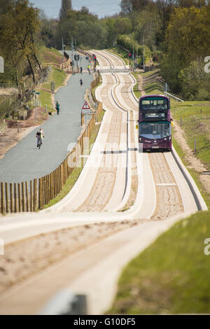 Lila bus Anfahren auf neuen engagierten Schienenverteiler, grünes Gras Kante, Beton geführte Schienenverteiler, Fußgänger, dogwalker Stockfoto