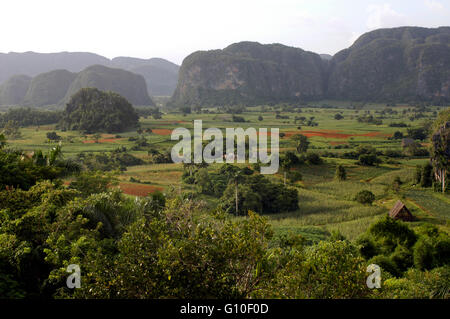 Atemberaubenden Blick über Valle de Vinales Kuba. Bauernhof Häuser und Berge, Vinales Tal, UNESCO-Weltkulturerbe, Kuba, Westindische Inseln, Karibik, Mittelamerika. Stockfoto