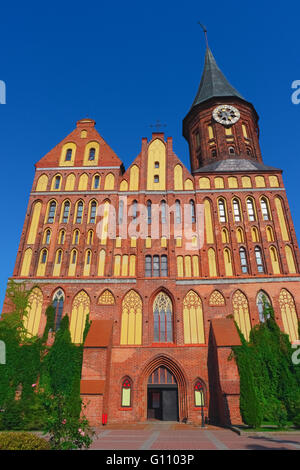 Gotische Kathedrale in Kaliningrad, Russland, ehemals Königsberg, Deutschland Stockfoto