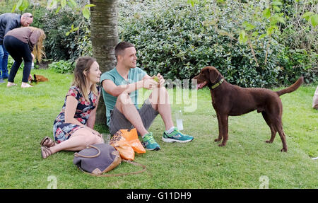 Brighton UK 7. Mai 2016 - ein paar genießen das warme Wetter mit ihrem Hund in Brighton Pavilion Gardens heute Nachmittag Credit: Simon Dack/Alamy Live News Stockfoto