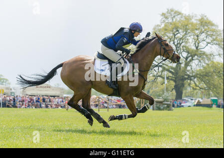 Badminton, South Gloucestershire, England, 7. Mai 2016, Zara Tindall und ihr Pferd High Königreich wiederherstellen aus einer in der Nähe von Herbst an den berüchtigten Vigarage Vee-Zaun eine klare Cross Country Runde bei Mitsubishi Motors Badminton Horse Trials 2016 abgeschlossen. Bildnachweis: Trevor Holt/Alamy Live-Nachrichten Stockfoto