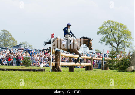 Badminton, South Gloucestershire, England, 7. Mai 2016, Zara Tindall und ihr Pferd High Königreich wiederherstellen aus einer in der Nähe von Herbst an den berüchtigten Vigarage Vee-Zaun eine klare Cross Country Runde bei Mitsubishi Motors Badminton Horse Trials 2016 abgeschlossen.  Bildnachweis: Trevor Holt / Alamy Live News Stockfoto