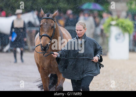 Badminton, South Gloucestershire, UK, 8. Mai 2016, Zara Tindall und ihr Pferd High Königreich nehmen Sie Teil an der endgültigen Pferd Inspektion bei Mitsubishi Motors Badminton Horse Trials 2016. Bildnachweis: Trevor Holt / Alamy Live News Stockfoto