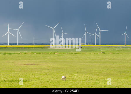 Der kleine Cheyne Gericht Windpark ist liegt 7 Kilometer (4,3 Meilen) westlich von Lydd auf Romney Marsh. Es wurde von Npower gebaut. Stockfoto