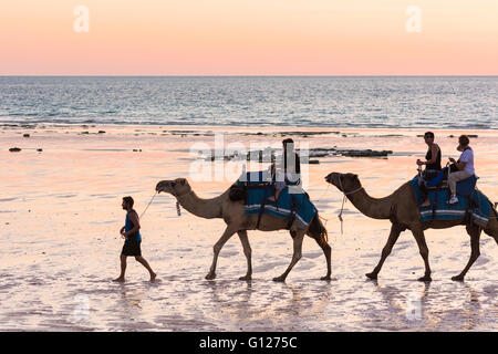 Kamele am Cable Beach bei Sonnenuntergang, Cable Beach, Broome, Kimberley, Western Australia Stockfoto