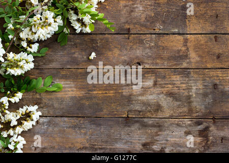 Frühling Akazie Blume auf hölzernen Hintergrund Stockfoto