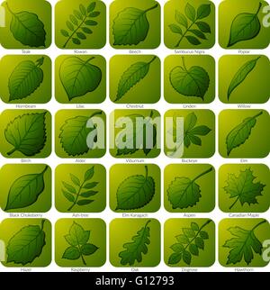 Icons mit Blättern, Set Stock Vektor