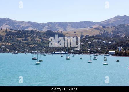 Akaroa Harbour, New Zealand Stockfoto