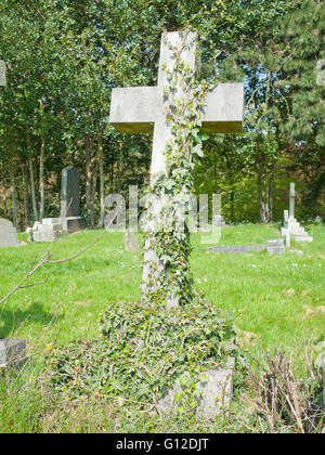 Efeu wächst auf alten Grabstein Stockfoto