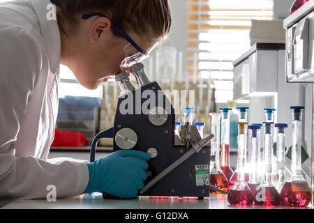 Forensische Wissenschaftler untersuchen und Proben Stockfoto