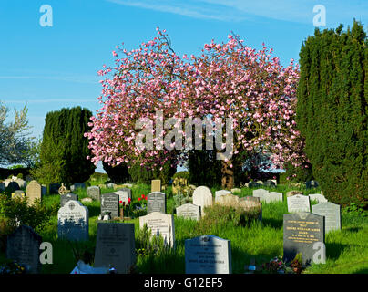 Der Kirchhof von St. Johann Kirche, Thaxted, Essex, England UK Stockfoto