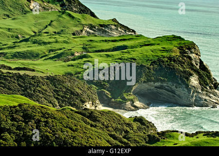 NELSON, NEUSEELAND Stockfoto