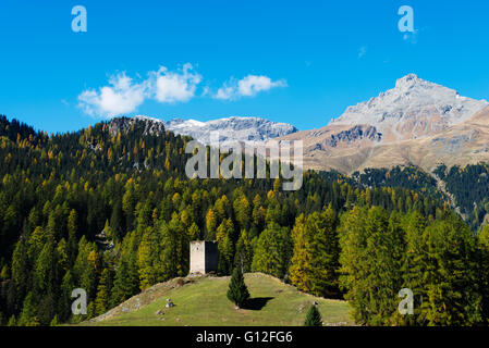 Europa, Schweiz, Graubünden, Engadin, Julia Pass Wachturm unter herbstlichen Wald Stockfoto