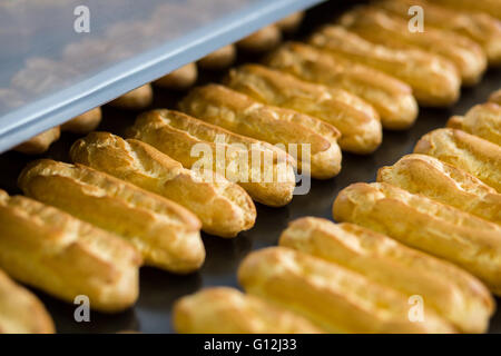 Reihen von gelben Éclair Muscheln. Stockfoto