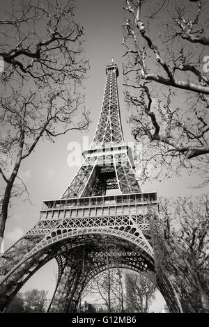 Schwarz / weiß vertikale Blick auf den Eiffelturm durch Äste auf dem Champs de Mars, Paris, Frankreich Stockfoto