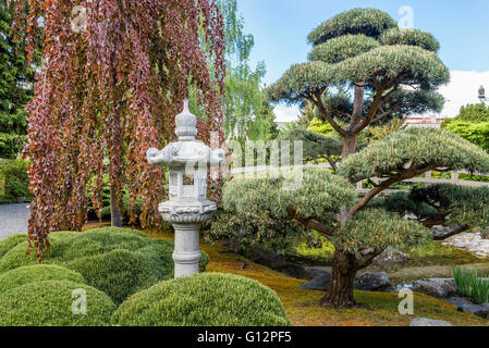 Kasugai japanischer Garten, Kelowna, British Columbia, Kanada Stockfoto