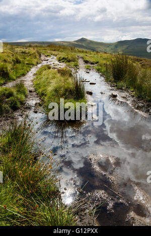 South Head und Mount Hungersnot von Harry Moor, Kinder Scout, Peak District National Park, Derbyshire Stockfoto