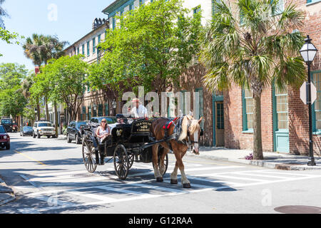 Es dauert ein paar eine Pferdekutsche Tour in historischen Charleston, South Carolina. Stockfoto