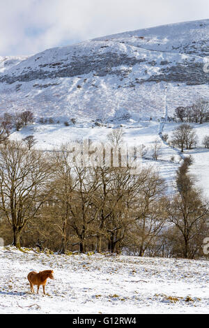 Vale des Ewyas in der Nähe von Capel-y-Ffin, Powys, schwarze Berge, Brecon Beacons National Park, Wales, Vereinigtes Königreich, Europa. Stockfoto