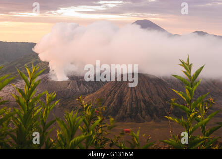 Sonnenaufgang über dem Mt. Bromo im östlichen Java Stockfoto