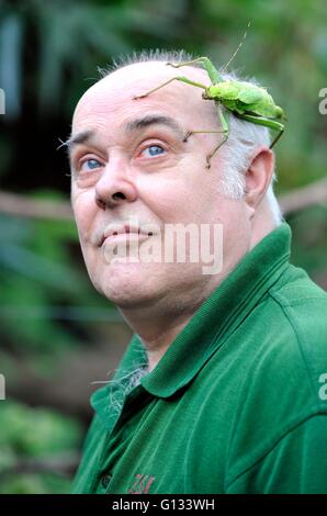 Melvin Lear mit ein Dschungel Nymphe Stabheuschrecke ZSL Whipsnade Zoo tun t jährliche Tier Bestandsaufnahme Stockfoto