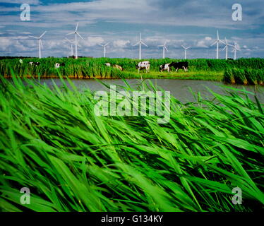 AJAXNETPHOTO - NIEDERLANDE - WINDPARK IN DER NÄHE VON MAKKUM. FOTO: JONATHAN EASTLAND/AJAX REF: HDD / POW 0699 Stockfoto