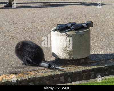 Drei Kanonen und ein Bärenfell Hut Stockfoto