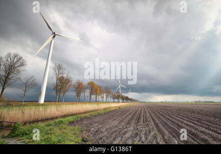 Windmühle Turbinen durch Gepflügtes Kartoffelfeld im Frühjahr Stockfoto