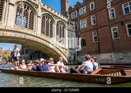 Eine punting Reiseführer Striche der Punt entlang des grünen Cam-Flusses an einem Tag voller Tourismus, Spaß, Spannung. Stockfoto