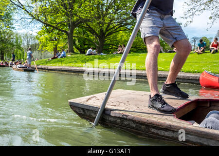 Eine punting Reiseführer Striche der Punt entlang des grünen Cam-Flusses an einem Tag voller Tourismus, Spaß, Spannung. Stockfoto