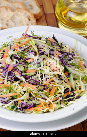 Salat-Krautsalat weiss und Rotkraut mit Karotten und Gurken Stockfoto