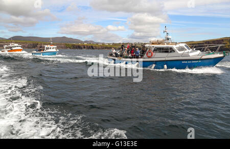 Touristen genießen einen Dingle Dolphin Sightseeing Reise, Dingle Bay, Dingle, Dingle-Halbinsel, County Kerry, Irland. Stockfoto