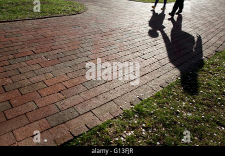 Schatten auf einen Backstein Gehweg in Piers Park, Boston, Massachusetts, USA Stockfoto