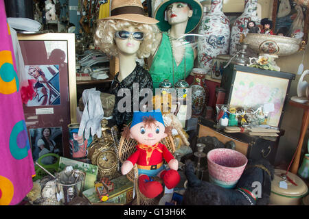 Antike Vitrine, King Street, Newtown, Sydney, New South Wales, Australien Stockfoto