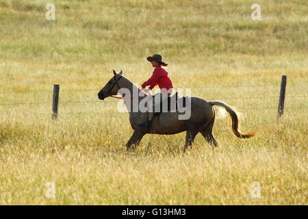 Ein pre-teen Mädchen reiten schnell auf ihrem Pferd in der Nähe von Eidsvold, Queensland, Australien bei einem Almabtrieb. Stockfoto