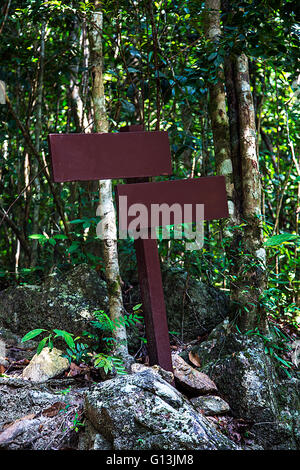 Leere Schilder im Wald in Thailand Stockfoto