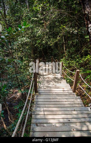 Hölzerne Weg im Wald in Thailand Stockfoto