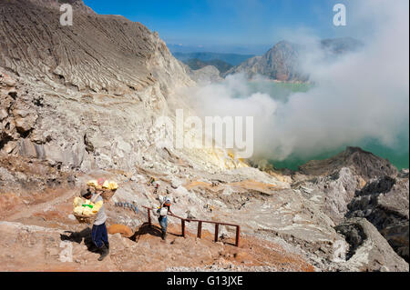 Schwefel Träger klettern aus Kawah Ijen Vulkan (Ijen Krater), Banyuwangi, Ost-Java, Indonesien, Asien Stockfoto