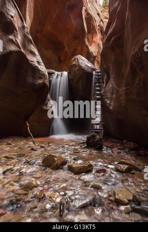 Langzeitbelichtung Wasserfall und Leiter im Kanarra Creek Canyon Stockfoto