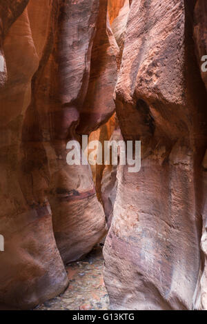 Gulch in Kanarra Creek Canyonv Stockfoto