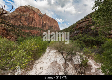 Virgin River nach einem plötzlichen Sturzflut Stockfoto